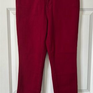 Judy Blue Red Skinny Jeans
